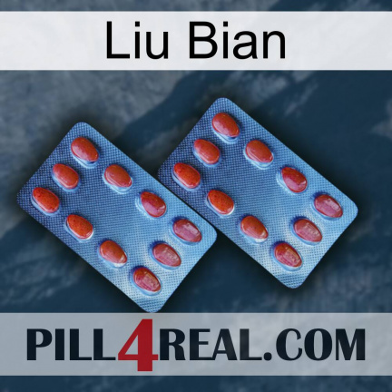 Liu Bian 05